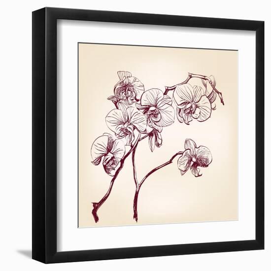 Floral Orchid Hand Drawn Vector-VladisChern-Framed Art Print