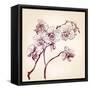 Floral Orchid Hand Drawn Vector-VladisChern-Framed Stretched Canvas