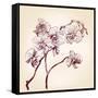 Floral Orchid Hand Drawn Vector-VladisChern-Framed Stretched Canvas