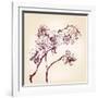 Floral Orchid Hand Drawn Vector-VladisChern-Framed Art Print