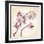 Floral Orchid Hand Drawn Vector-VladisChern-Framed Art Print