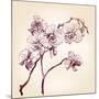Floral Orchid Hand Drawn Vector-VladisChern-Mounted Art Print