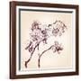 Floral Orchid Hand Drawn Vector-VladisChern-Framed Art Print