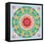 Floral Ornament Circle-Alaya Gadeh-Framed Stretched Canvas