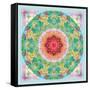 Floral Ornament Circle-Alaya Gadeh-Framed Stretched Canvas