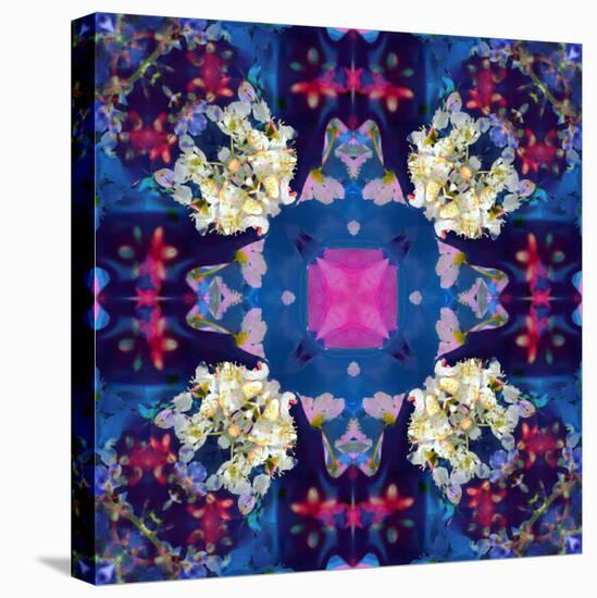 Floral Ornament-Alaya Gadeh-Stretched Canvas