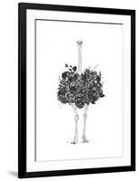 Floral Ostrich-Balazs Solti-Framed Art Print