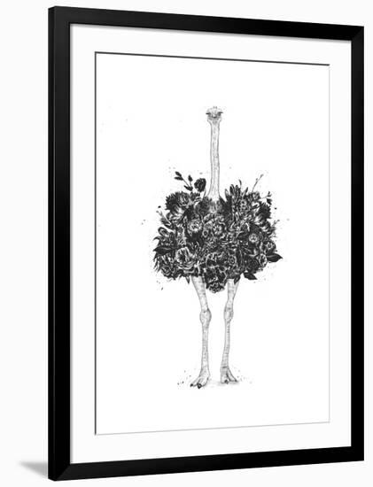 Floral Ostrich-Balazs Solti-Framed Art Print