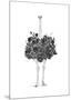Floral Ostrich-Balazs Solti-Mounted Art Print