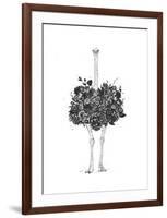 Floral Ostrich-Balazs Solti-Framed Art Print