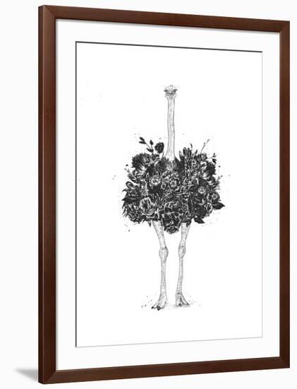 Floral Ostrich-Balazs Solti-Framed Art Print