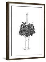 Floral Ostrich-Balazs Solti-Framed Art Print