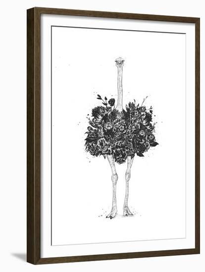 Floral Ostrich-Balazs Solti-Framed Art Print