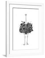 Floral Ostrich-Balazs Solti-Framed Art Print