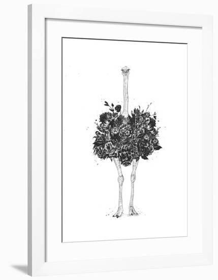 Floral Ostrich-Balazs Solti-Framed Art Print