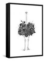 Floral Ostrich-Balazs Solti-Framed Stretched Canvas
