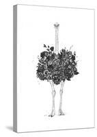 Floral Ostrich-Balazs Solti-Stretched Canvas