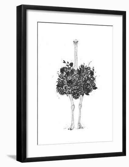 Floral Ostrich-Balazs Solti-Framed Art Print