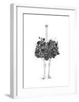 Floral Ostrich-Balazs Solti-Framed Art Print