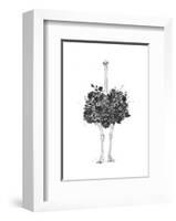 Floral Ostrich-Balazs Solti-Framed Art Print