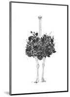 Floral Ostrich-Balazs Solti-Mounted Art Print