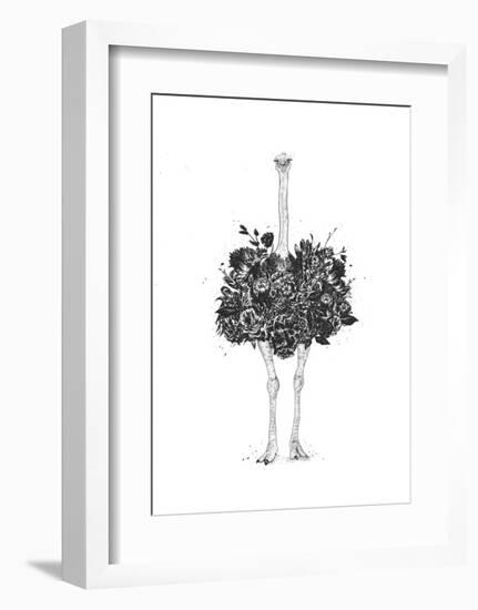 Floral Ostrich-Balazs Solti-Framed Art Print