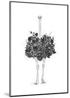 Floral Ostrich-Balazs Solti-Mounted Art Print