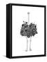 Floral Ostrich-Balazs Solti-Framed Stretched Canvas