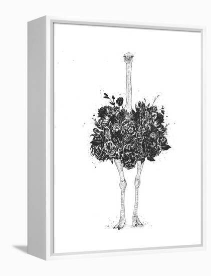 Floral Ostrich-Balazs Solti-Framed Stretched Canvas
