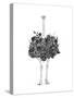 Floral Ostrich-Balazs Solti-Stretched Canvas