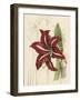 Floral Pairings I-Vision Studio-Framed Art Print