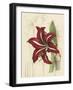 Floral Pairings I-Vision Studio-Framed Art Print