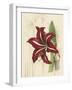 Floral Pairings I-Vision Studio-Framed Art Print