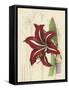 Floral Pairings I-Vision Studio-Framed Stretched Canvas
