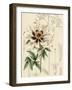 Floral Pairings II-Vision Studio-Framed Art Print