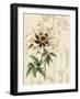 Floral Pairings II-Vision Studio-Framed Art Print