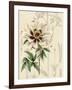 Floral Pairings II-Vision Studio-Framed Art Print