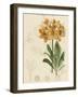 Floral Pairings III-Vision Studio-Framed Art Print