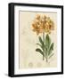 Floral Pairings III-Vision Studio-Framed Art Print