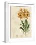 Floral Pairings III-Vision Studio-Framed Art Print