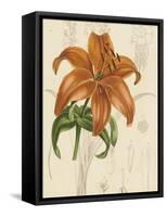 Floral Pairings IV-Vision Studio-Framed Stretched Canvas