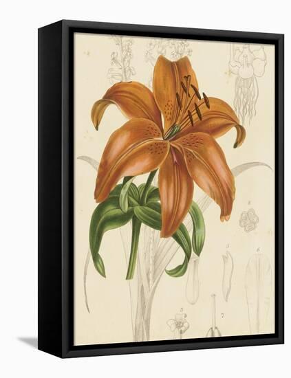 Floral Pairings IV-Vision Studio-Framed Stretched Canvas