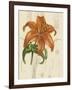 Floral Pairings IV-Vision Studio-Framed Art Print