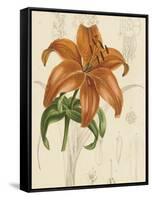 Floral Pairings IV-Vision Studio-Framed Stretched Canvas