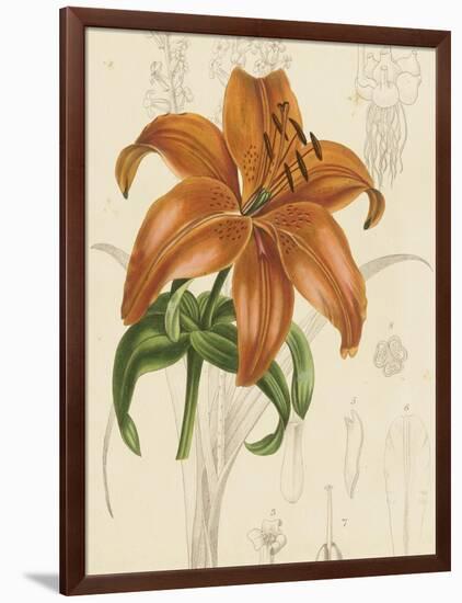 Floral Pairings IV-Vision Studio-Framed Art Print