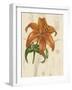 Floral Pairings IV-Vision Studio-Framed Art Print