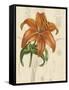 Floral Pairings IV-Vision Studio-Framed Stretched Canvas