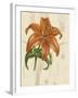 Floral Pairings IV-Vision Studio-Framed Art Print