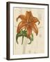 Floral Pairings IV-Vision Studio-Framed Art Print