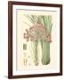 Floral Passion III-Samuel Curtis-Framed Art Print